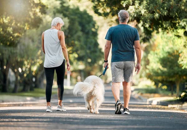 Couple walking dog